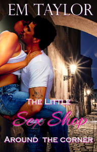 The Little Sex Shop Around the Corner